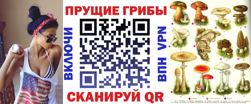 Псилоцибиновые грибы MAGIC MUSHROOMS  как найти закладки  Славянск-на-Кубани 